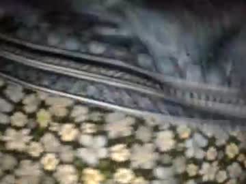 Live Cams Secret18slaveanon, 18 yrs - Chaturbate Live
